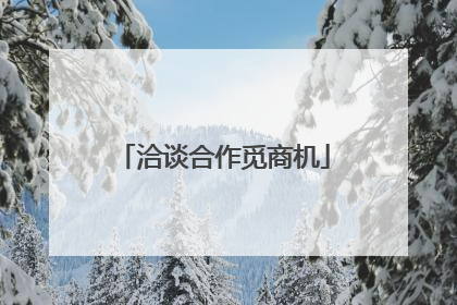 洽谈合作觅商机