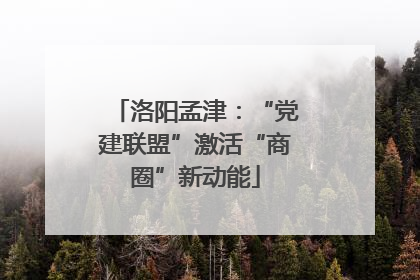 洛阳孟津：“党建联盟”激活“商圈”新动能