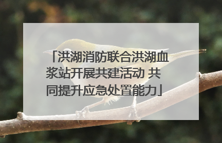 洪湖消防联合洪湖血浆站开展共建活动 共同提升应急处置能力