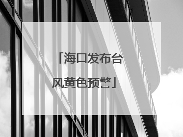 海口发布台风黄色预警