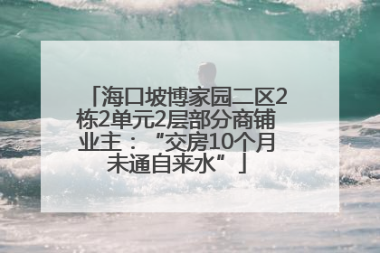 海口坡博家园二区2栋2单元2层部分商铺业主：“交房10个月未通自来水”