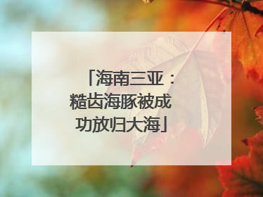 海南三亚：糙齿海豚被成功放归大海