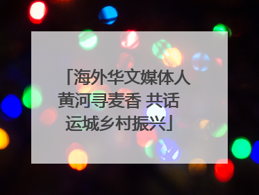 海外华文媒体人黄河寻麦香 共话运城乡村振兴