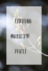 浮宫杨梅出口季开启