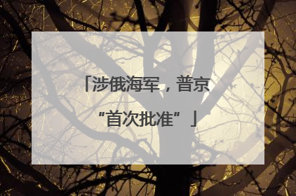 涉俄海军，普京“首次批准”