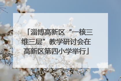 淄博高新区“一核三维三层”教学研讨会在高新区第四小学举行