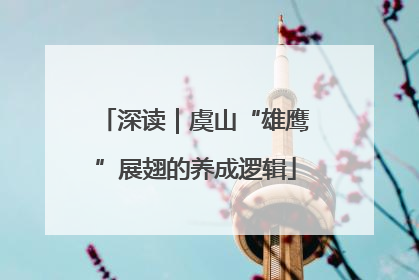 深读｜虞山“雄鹰”展翅的养成逻辑