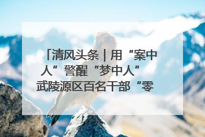 清风头条｜用“案中人”警醒“梦中人” 武陵源区百名干部“零距离”接受警示教育