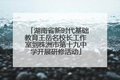 湖南省新时代基础教育王岳名校长工作室到株洲市第十九中学开展研修活动