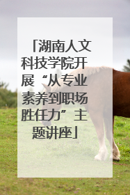 湖南人文科技学院开展“从专业素养到职场胜任力”主题讲座