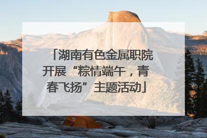 湖南有色金属职院开展“粽情端午，青春飞扬”主题活动