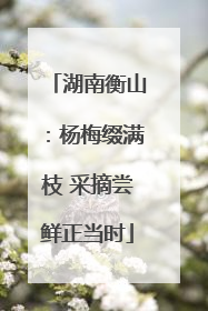 湖南衡山：杨梅缀满枝 采摘尝鲜正当时