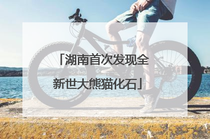 湖南首次发现全新世大熊猫化石