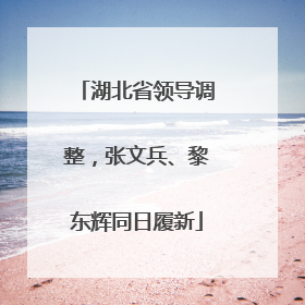 湖北省领导调整，张文兵、黎东辉同日履新