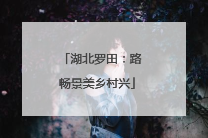 湖北罗田：路畅景美乡村兴