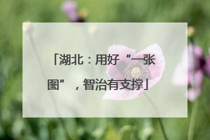 湖北：用好“一张图”，智治有支撑
