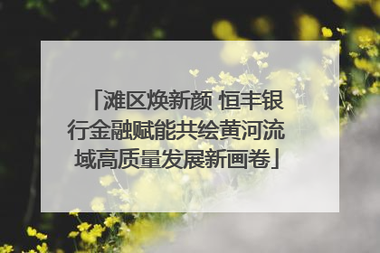 滩区焕新颜 恒丰银行金融赋能共绘黄河流域高质量发展新画卷