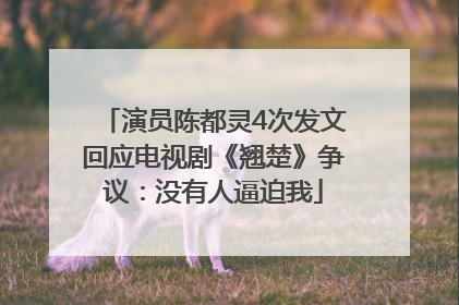 演员陈都灵4次发文回应电视剧《翘楚》争议：没有人逼迫我