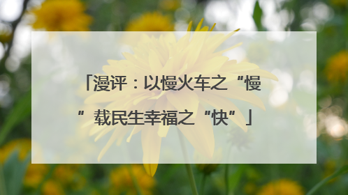 漫评：以慢火车之“慢”载民生幸福之“快”