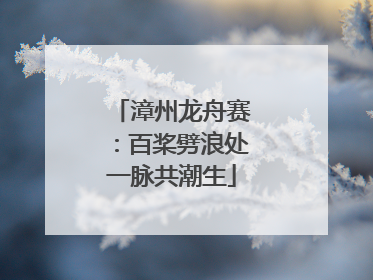 漳州龙舟赛：百桨劈浪处一脉共潮生