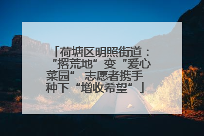 荷塘区明照街道：“撂荒地”变“爱心菜园” 志愿者携手种下“增收希望”