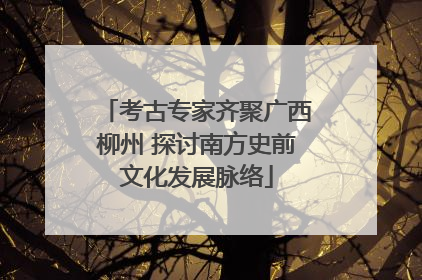 考古专家齐聚广西柳州 探讨南方史前文化发展脉络