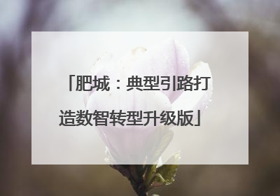 肥城：典型引路打造数智转型升级版