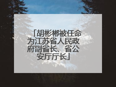 胡彬郴被任命为江苏省人民政府副省长、省公安厅厅长