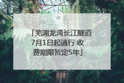 芜湖龙湾长江隧道7月1日起通行 收费期限暂定5年