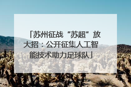 苏州征战“苏超”放大招：公开征集人工智能技术助力足球队