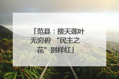 范县：接天莲叶无穷碧 “民主之花”别样红