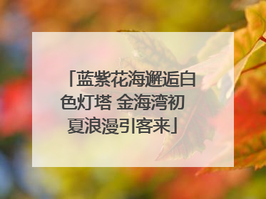 蓝紫花海邂逅白色灯塔 金海湾初夏浪漫引客来
