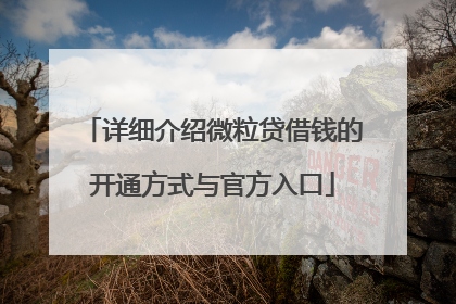 详细介绍微粒贷借钱的开通方式与官方入口