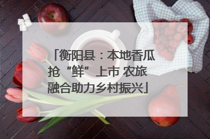 衡阳县：本地香瓜抢“鲜”上市 农旅融合助力乡村振兴
