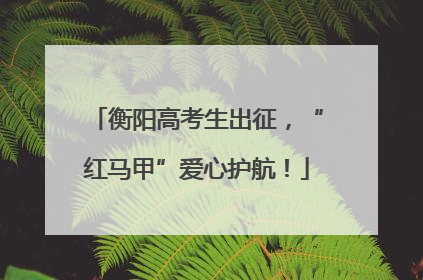 衡阳高考生出征，“红马甲”爱心护航！