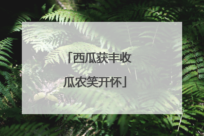 西瓜获丰收 瓜农笑开怀