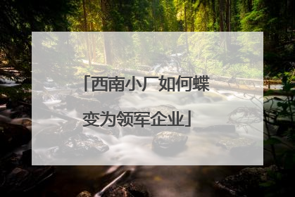 西南小厂如何蝶变为领军企业