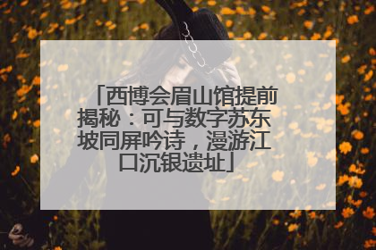 西博会眉山馆提前揭秘：可与数字苏东坡同屏吟诗，漫游江口沉银遗址