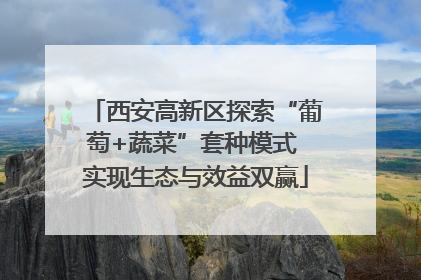 西安高新区探索“葡萄+蔬菜”套种模式 实现生态与效益双赢