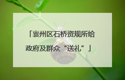 襄州区石桥资规所给政府及群众“送礼”