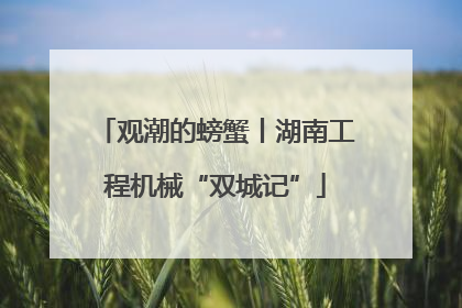 观潮的螃蟹丨湖南工程机械“双城记”