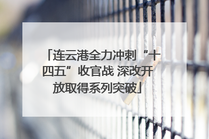 连云港全力冲刺“十四五”收官战 深改开放取得系列突破