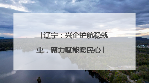 辽宁：兴企护航稳就业，聚力赋能暖民心