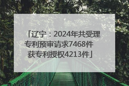 辽宁：2024年共受理专利预审请求7468件 获专利授权4213件