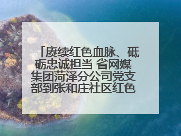 赓续红色血脉、砥砺忠诚担当 省网媒集团菏泽分公司党支部到张和庄社区红色基因传承馆开展主题党日活动