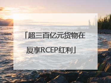 超三百亿元货物在厦享RCEP红利