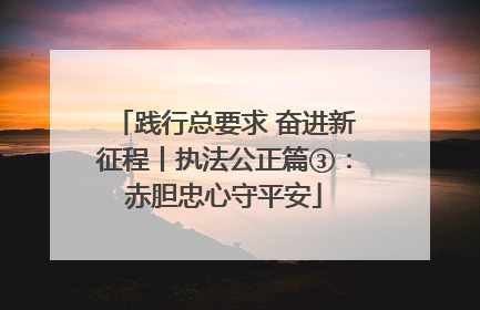 践行总要求 奋进新征程丨执法公正篇③：赤胆忠心守平安