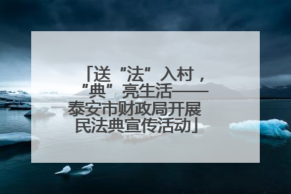送“法”入村，“典”亮生活——泰安市财政局开展民法典宣传活动