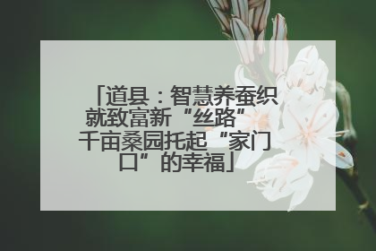 道县：智慧养蚕织就致富新“丝路” 千亩桑园托起“家门口”的幸福