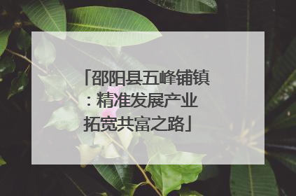 邵阳县五峰铺镇：精准发展产业 拓宽共富之路